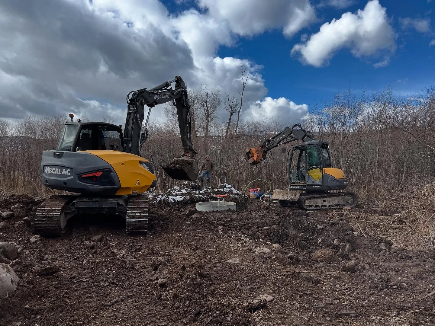 Two excavators working on a cleared woodland site